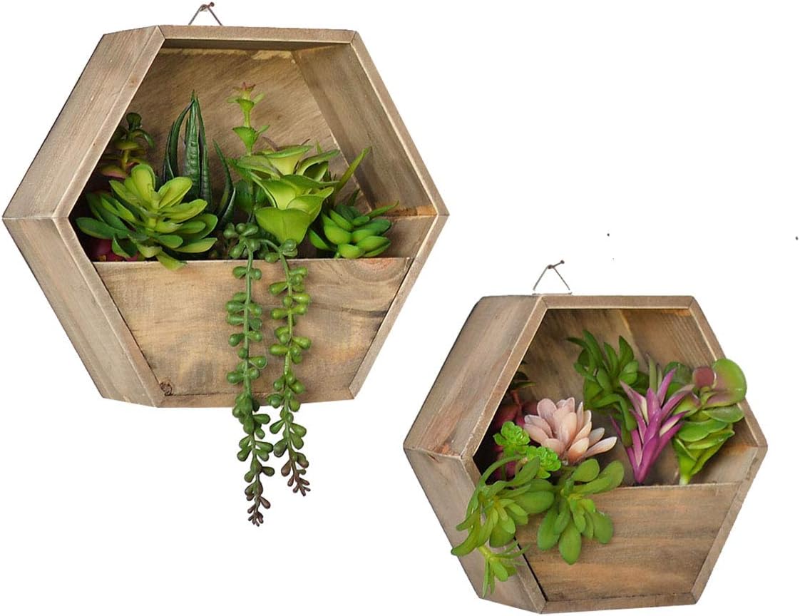 Wall-Mounted Succulent Planter