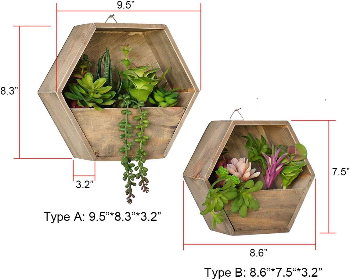 Wall-Mounted Succulent Planter