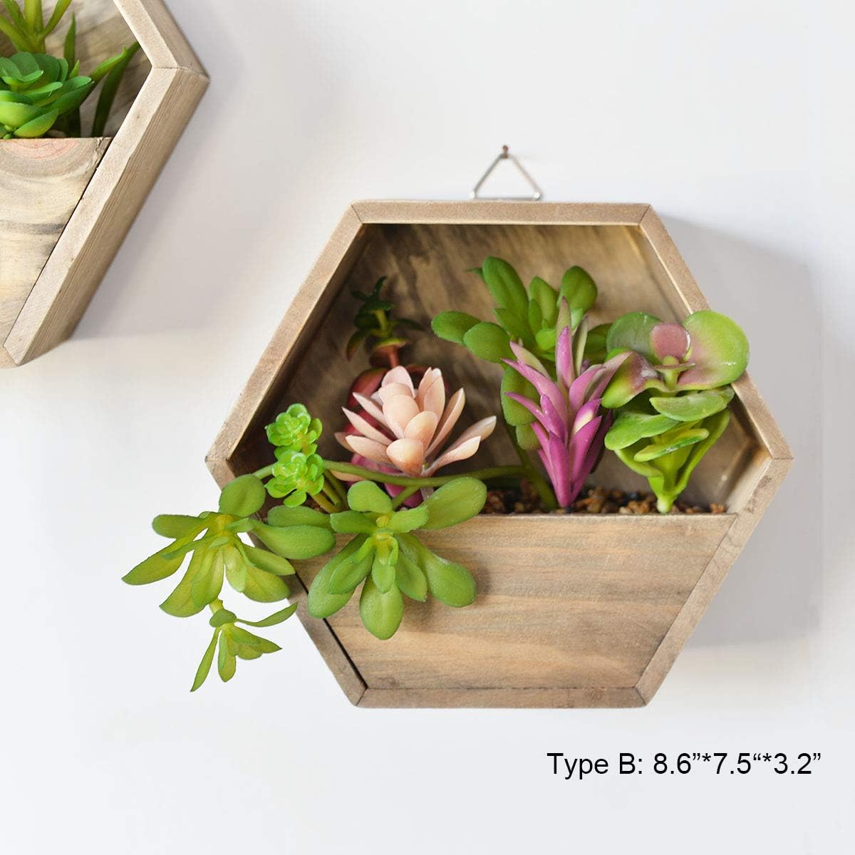 Wall-Mounted Succulent Planter