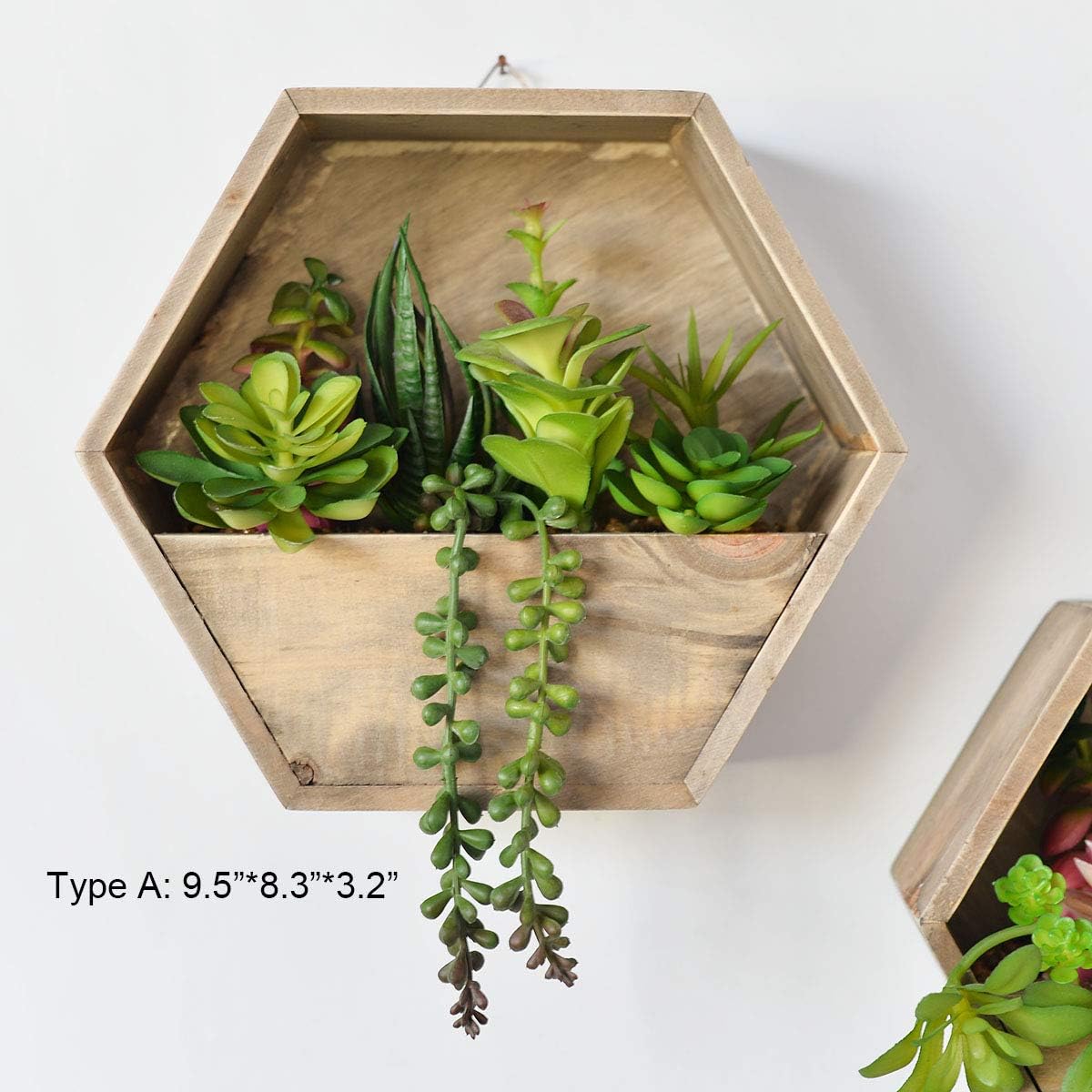 Wall-Mounted Succulent Planter
