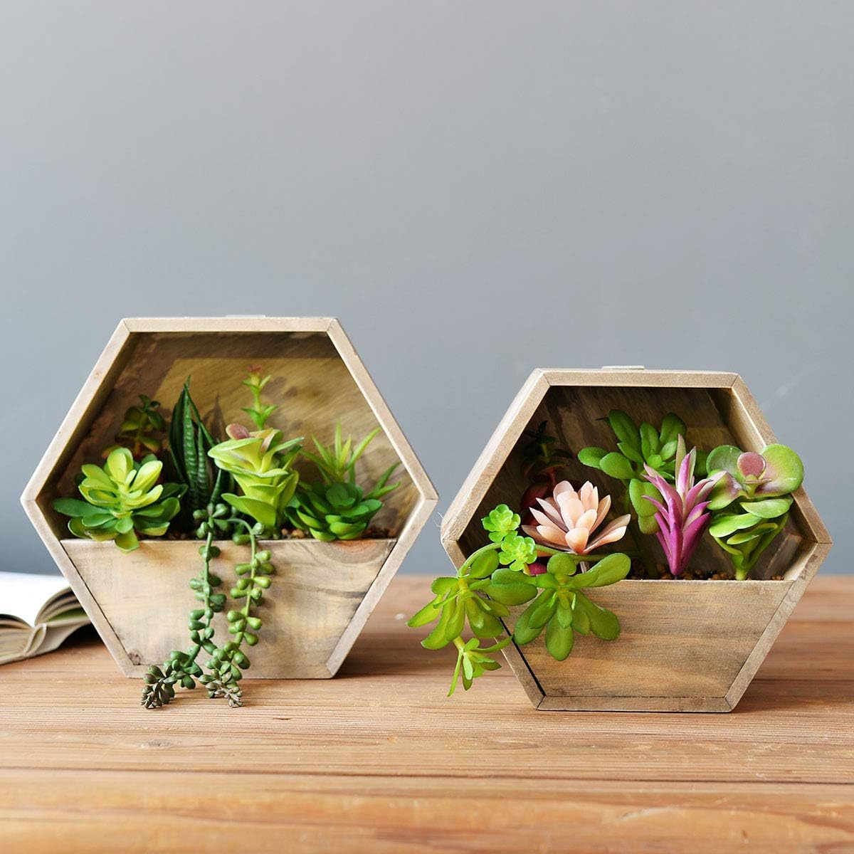 Wall-Mounted Succulent Planter