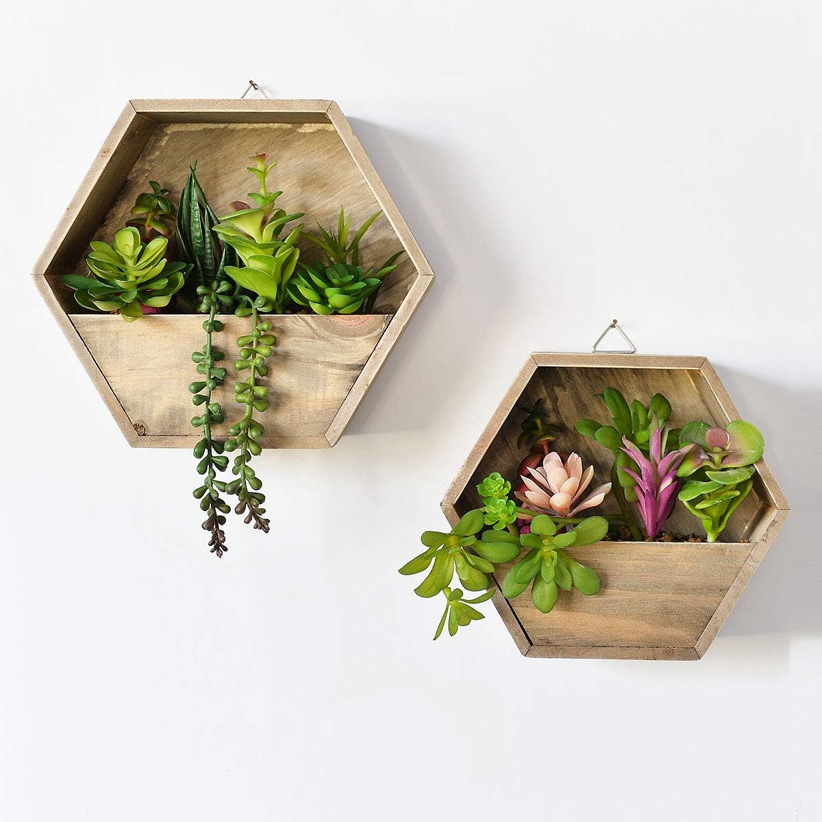 Wall-Mounted Succulent Planter