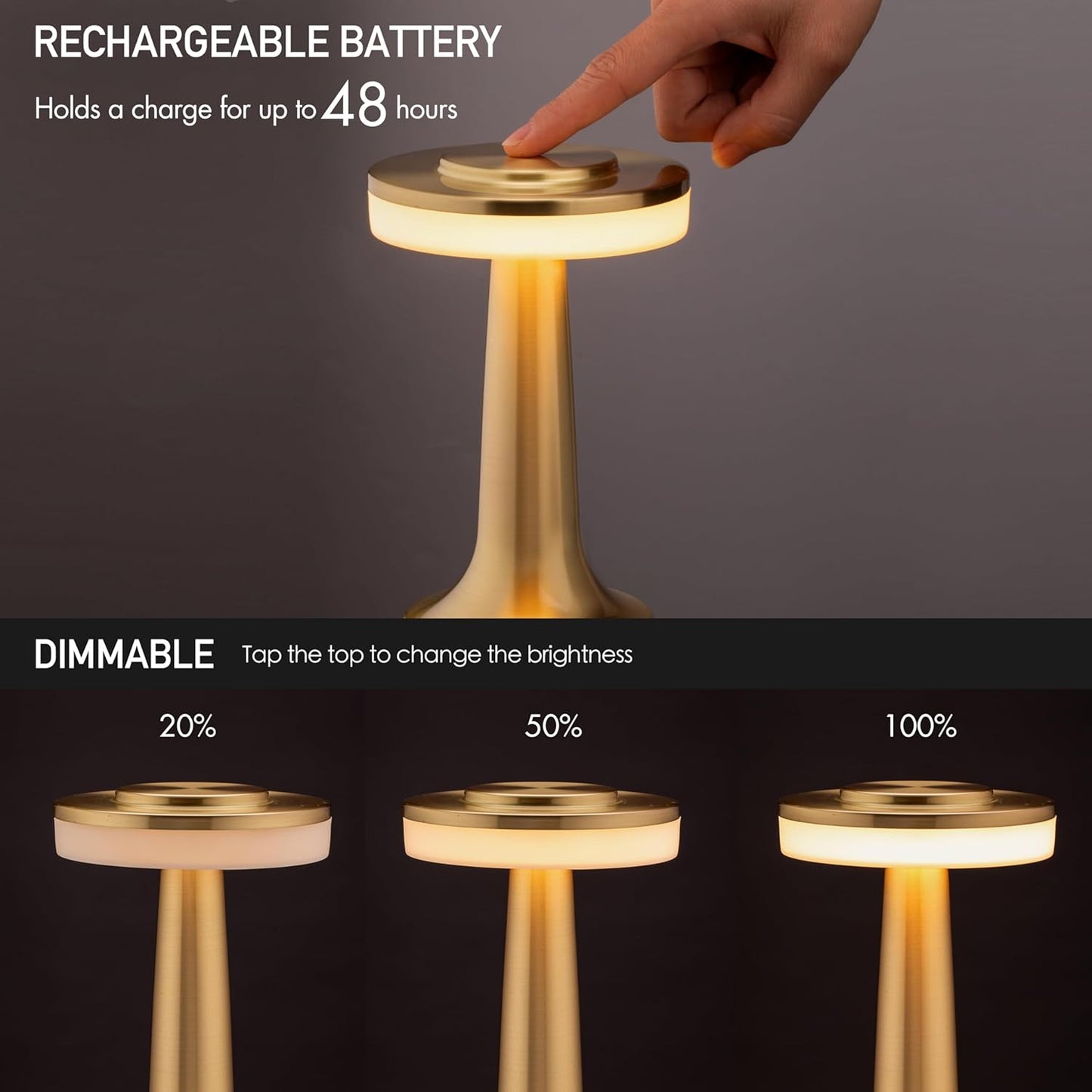 Portable LED Lamp
