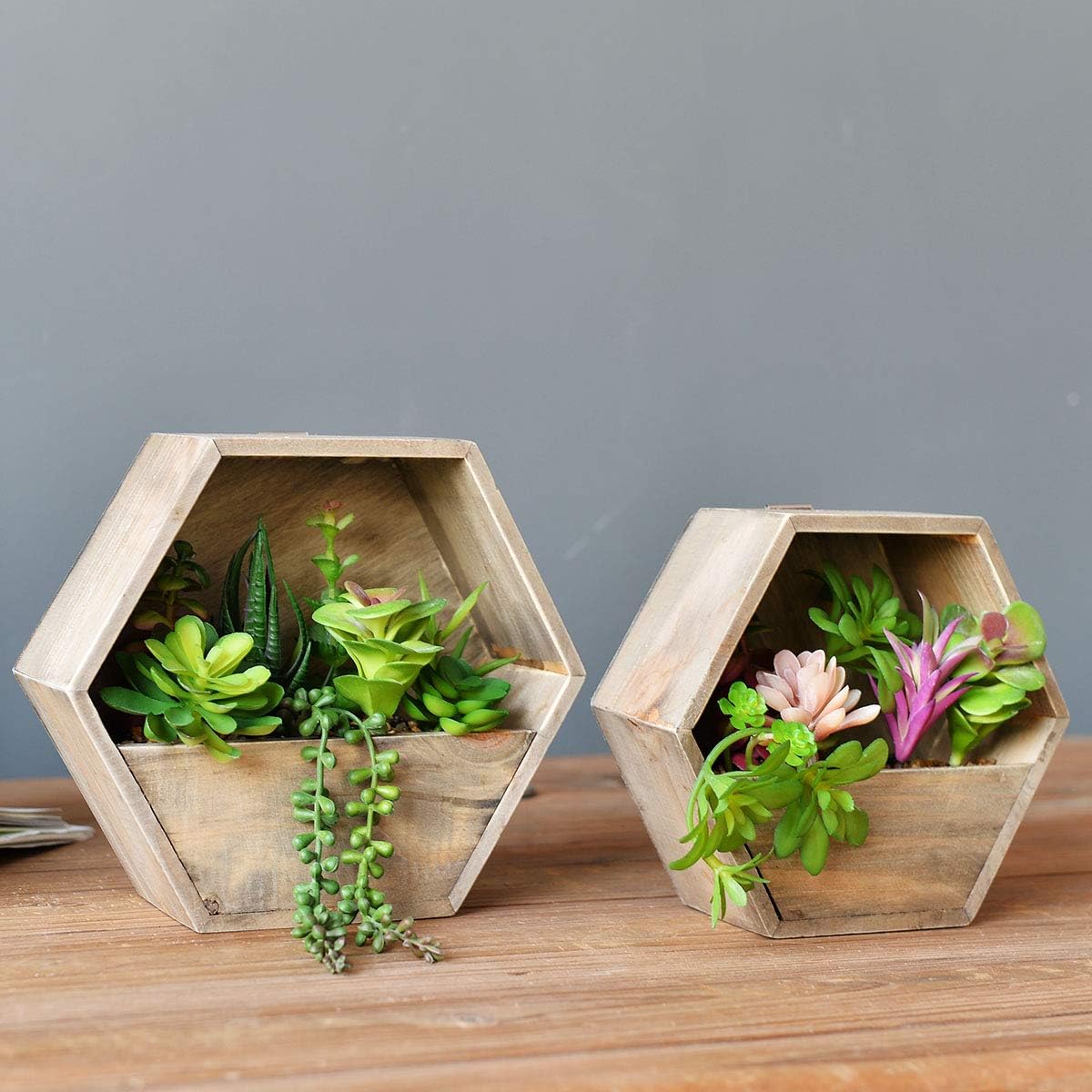Wall-Mounted Succulent Planter
